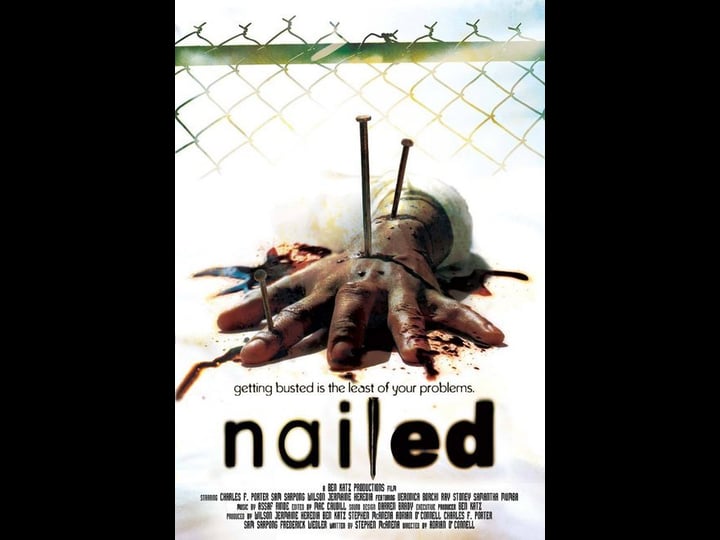 nailed-4465940-1