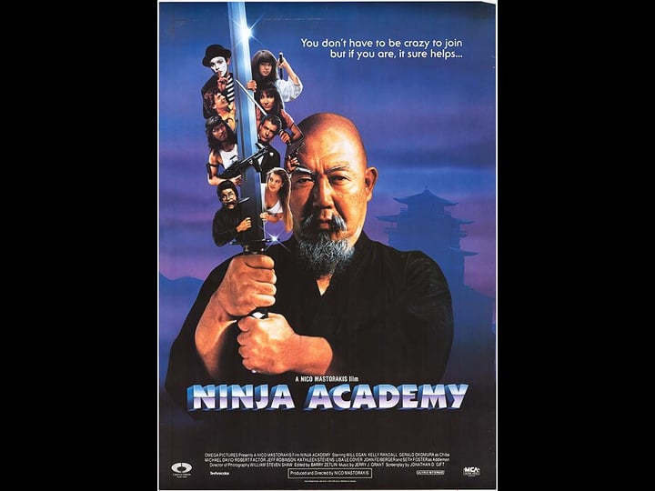 ninja-academy-tt0100265-1