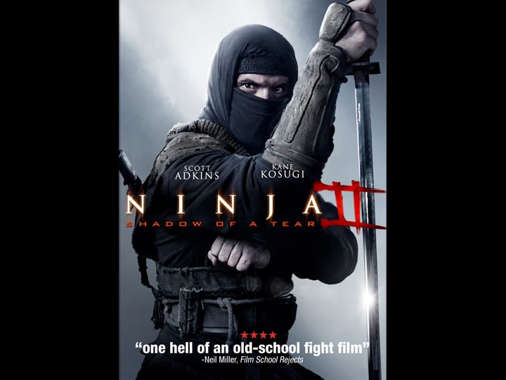 ninja-shadow-of-a-tear-tt2458106-1