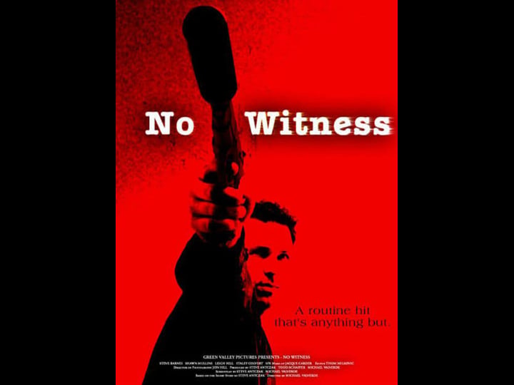 no-witness-1307048-1
