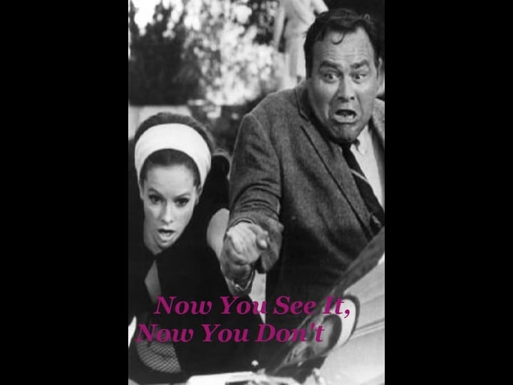 now-you-see-it-now-you-dont-4322035-1