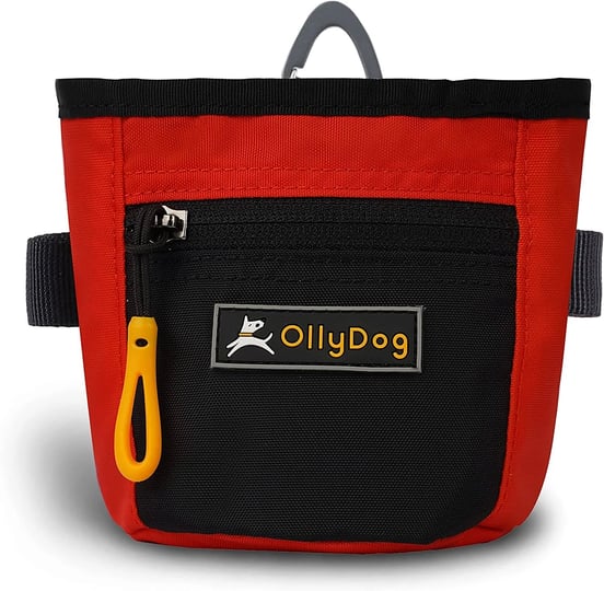 ollydog-goodie-treat-bag-dog-treat-pouch-fiesta-1
