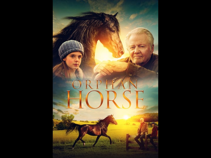 orphan-horse-tt7784788-1