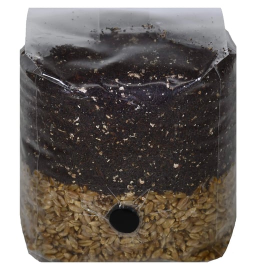 out-grow-mini-all-in-one-mushroom-grow-bag-1