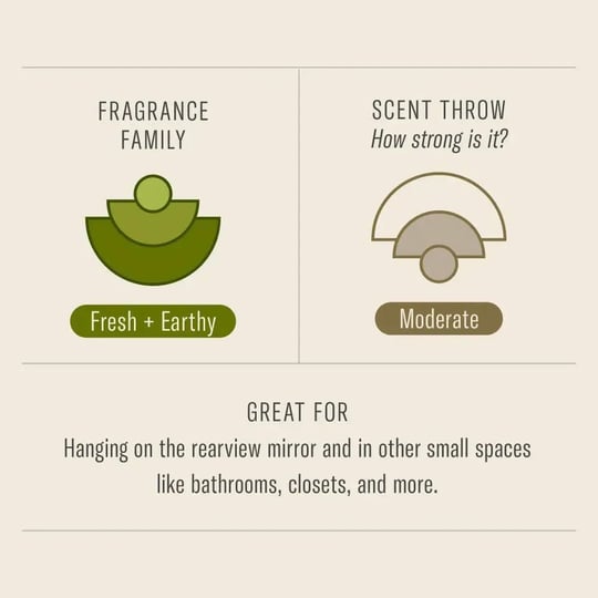 p-f-candle-co-amber-moss-car-fragrance-1