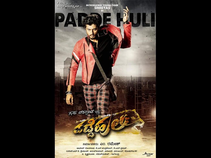 padde-huli-2238044-1