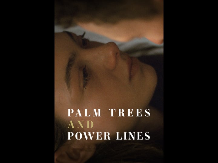 palm-trees-and-power-lines-4155717-1