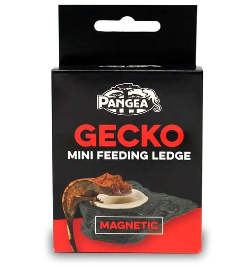 pangea-mini-magnetic-gecko-feeder-ledge-1