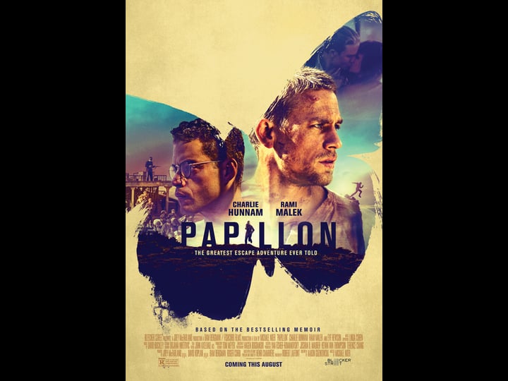 papillon-tt5093026-1