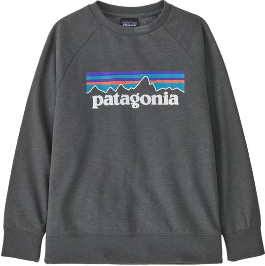 patagonia-lightweight-crew-sweatshirt-boys-p-6-logo-forge-grey-s-1