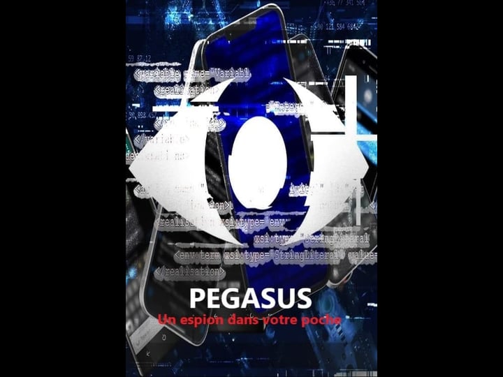 pegasus-un-espion-dans-votre-poche-4368850-1