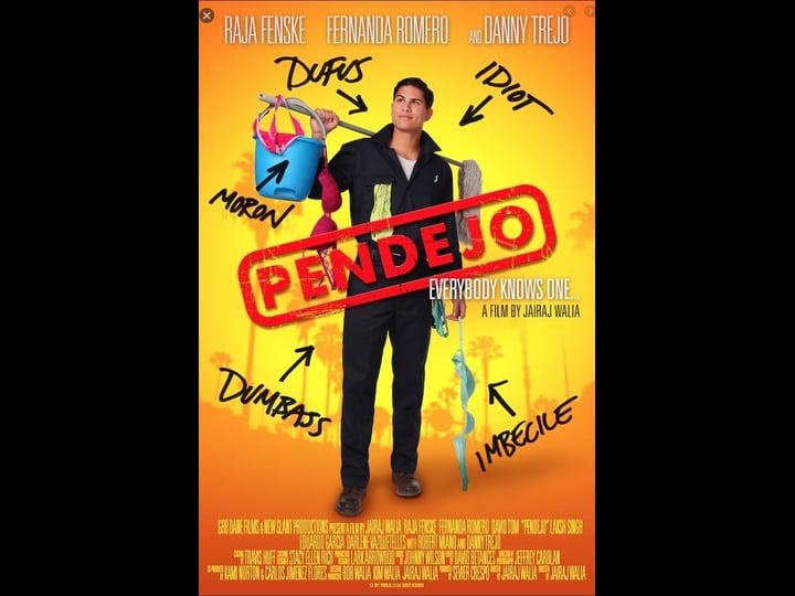 pendejo-idiot-tt1872138-1