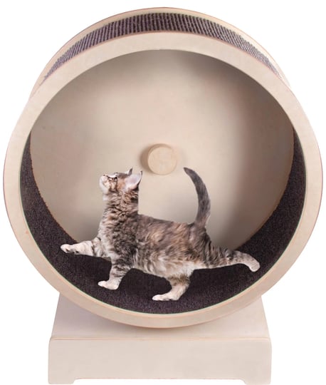 penn-plax-spin-kitty-cat-exerciser-wheel-running-spinning-and-scratching-fun-29-5-diameter-1