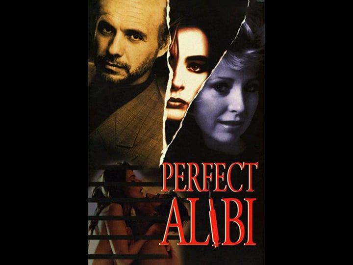 perfect-alibi-4329412-1