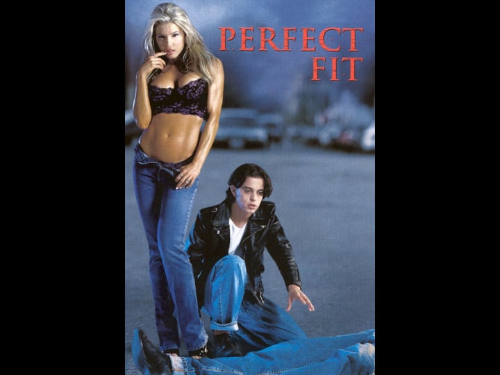 perfect-fit-tt0198903-1