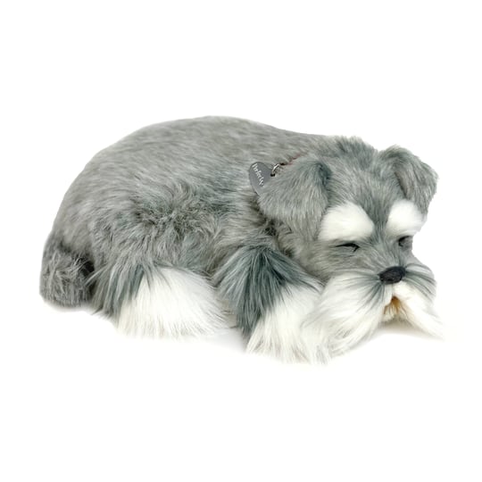 perfect-petzzz-schnauzer-1