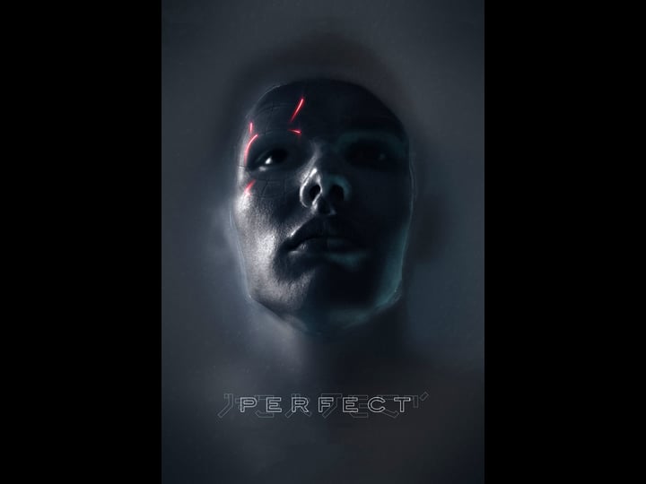 perfect-tt6222286-1