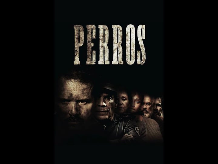 perros-tt6560128-1