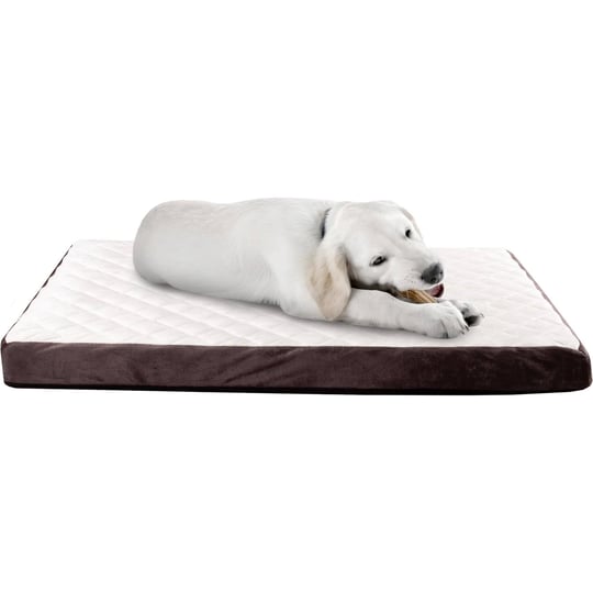 pet-adobe-orthopedic-pet-bed-36-l-x-27-w-x-2-75-h-white-medium-1