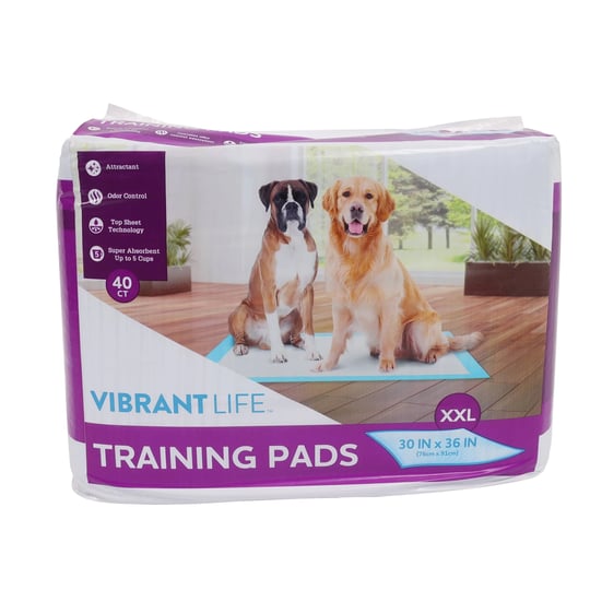 pet-all-star-xxl-training-pads-30-in-x-36-in-40-count-1