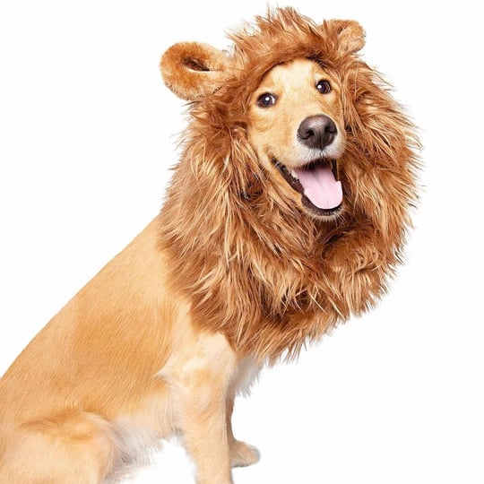 pet-krewe-lion-mane-dog-costume-1