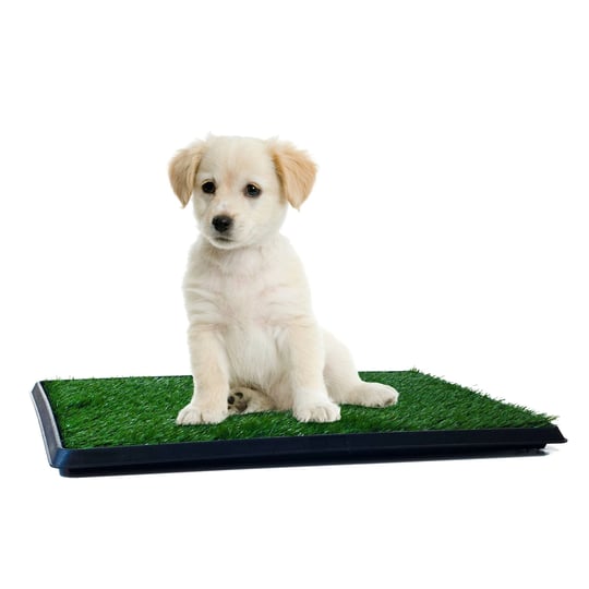 petmaker-puppy-potty-trainer-the-indoor-restroom-for-pets-small-1