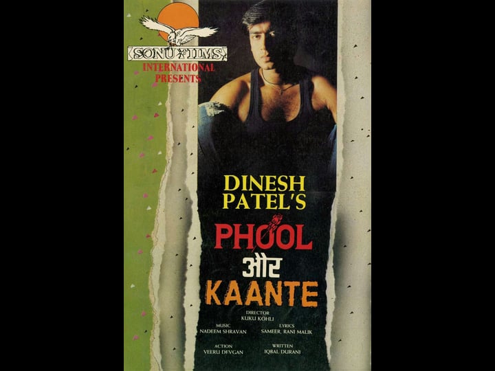 phool-aur-kaante-tt0254683-1