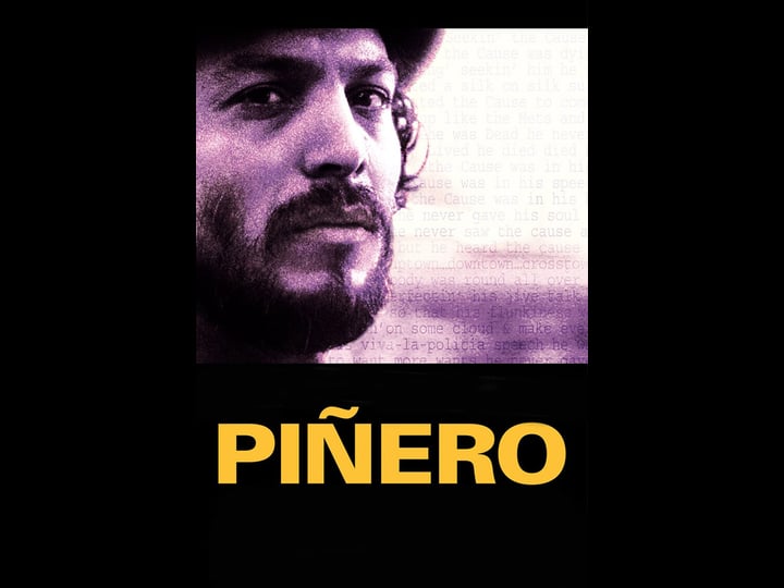 pi-ero-tt0261066-1
