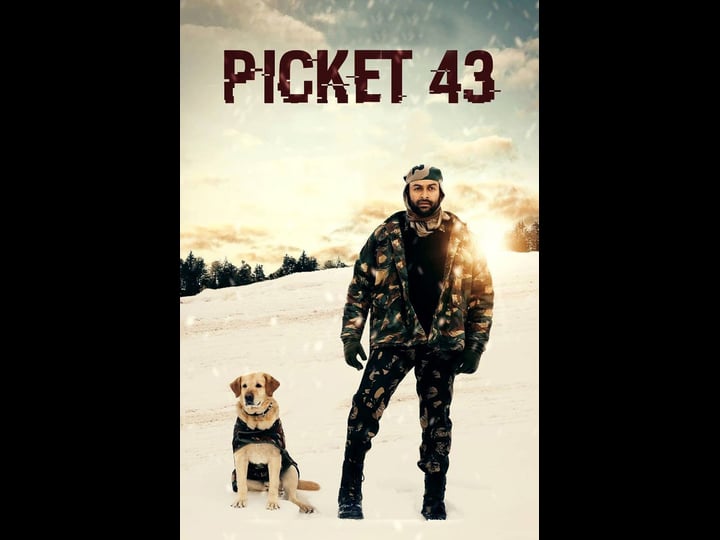 picket-43-2241722-1