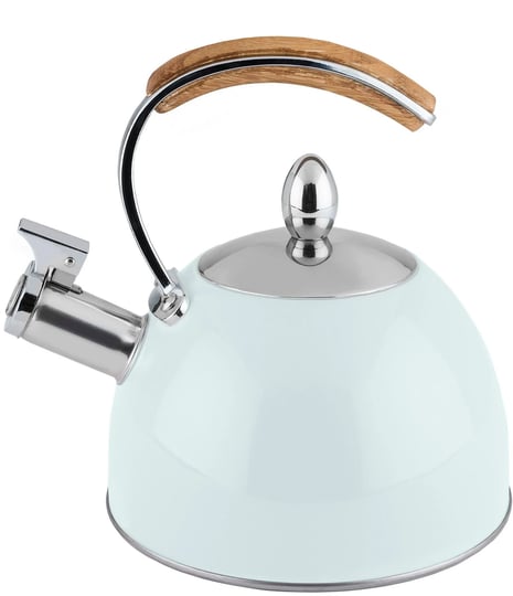 pinky-up-presley-pistachio-tea-kettle-1