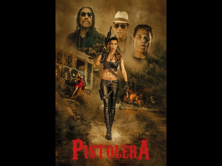 pistolera-tt9037864-1