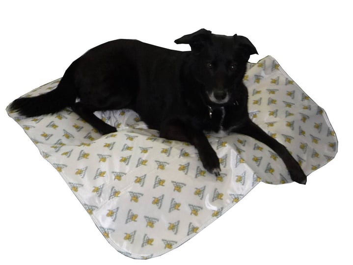 poochpad-reusable-absorbent-potty-pad-20x27-medium-white-1