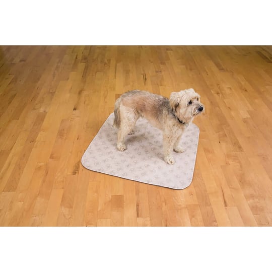 poochpads-training-pad-beige-large-30-x-32-1