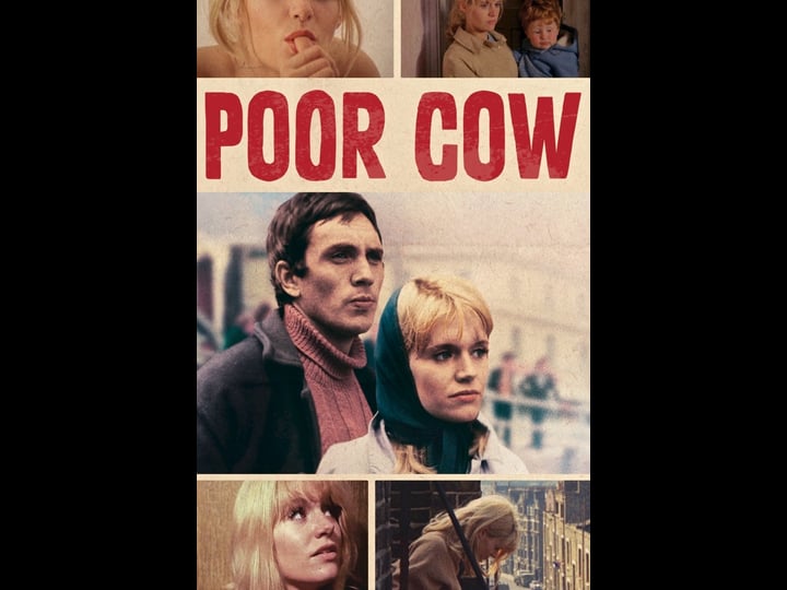 poor-cow-tt0062141-1