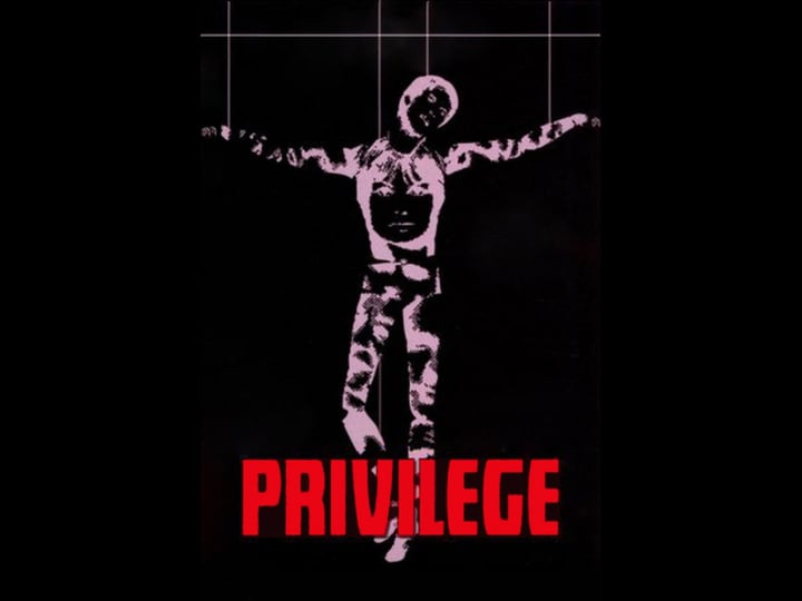 privilege-1815644-1