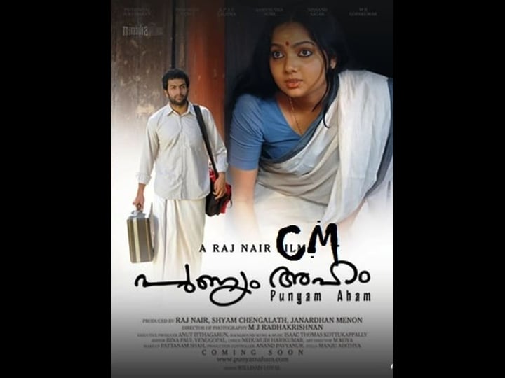 punyam-aham-tt1838630-1