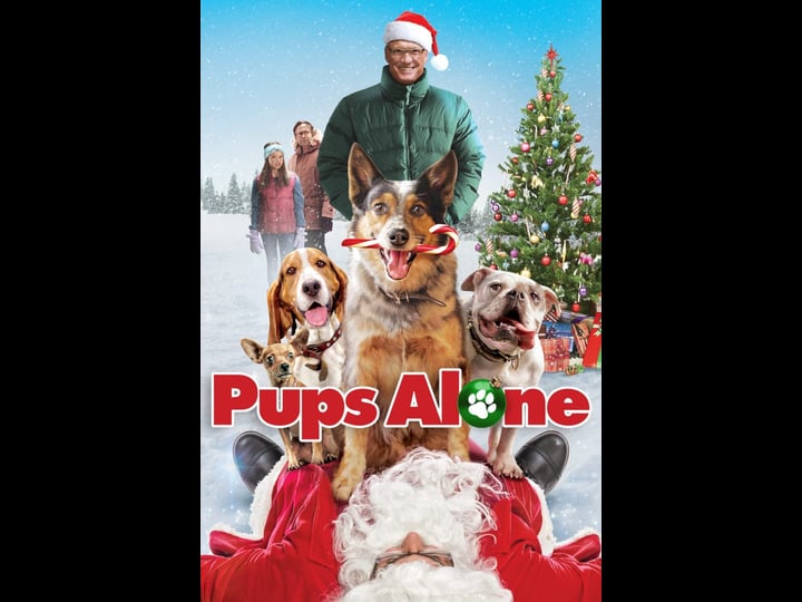 pups-alone-tt6344584-1