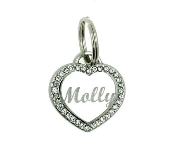 raincol-custom-engraved-personalized-stainless-steel-small-heart-rhinestones-dog-cat-pet-id-jewelry--1