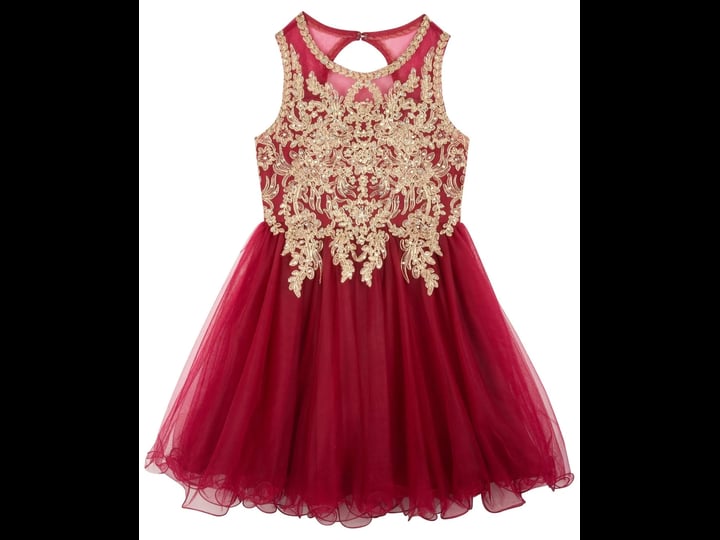 rare-editions-big-girls-sleeveless-embroired-bodice-with-wire-hem-mesh-social-dress-red-1
