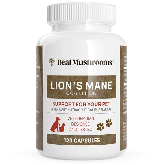 real-mushrooms-lions-mane-support-for-your-pet-120-capsules-1