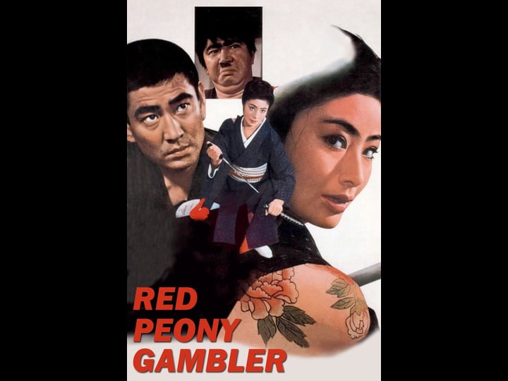 red-peony-gambler-4426470-1