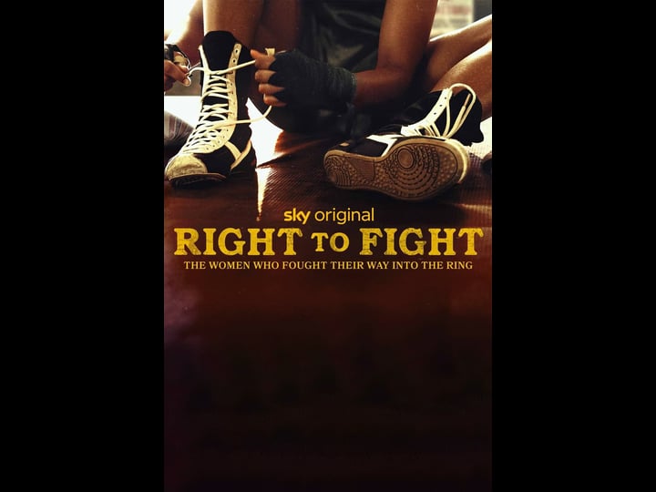 right-to-fight-4431014-1