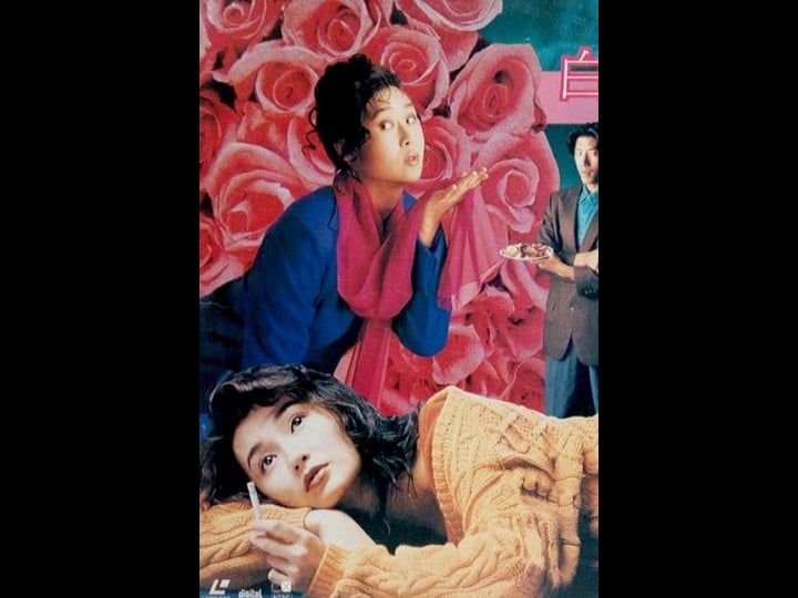 rose-4371455-1