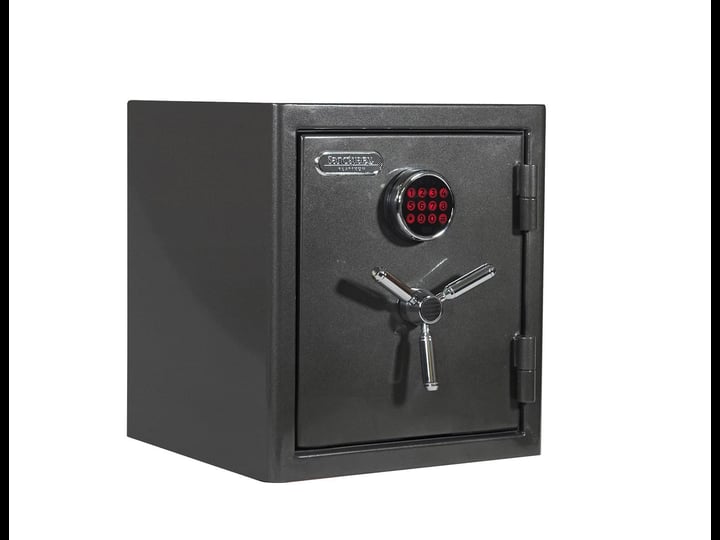 sanctuary-platinum-1-96-cu-ft-fireproof-waterproof-home-office-safe-with-electronic-lock-dark-gray-m-1