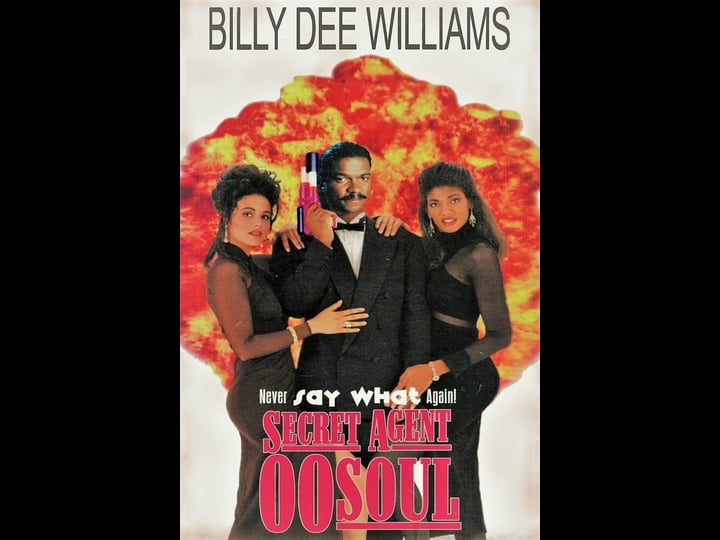 secret-agent-oo-soul-tt0114375-1