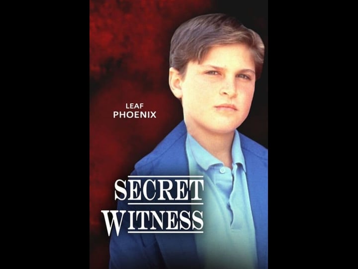 secret-witness-tt0096066-1