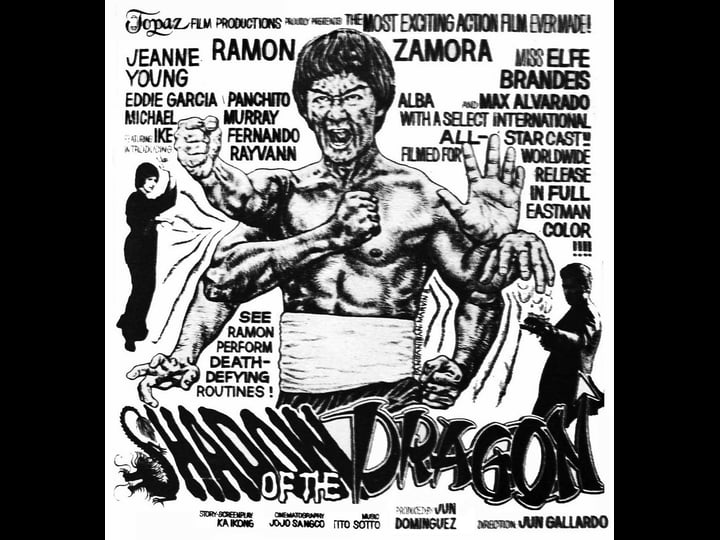 shadow-of-the-dragon-2815626-1