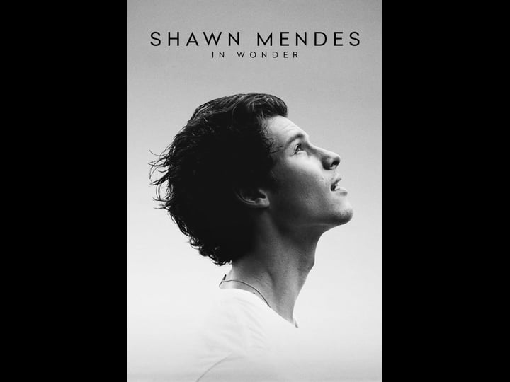shawn-mendes-in-wonder-4320390-1