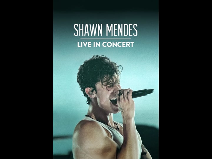 shawn-mendes-live-in-concert-4320401-1