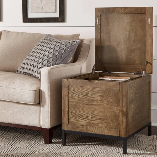 shay-storage-trunk-end-table-with-removeable-tray-by-inspire-q-artisan-veneer-mdf-1